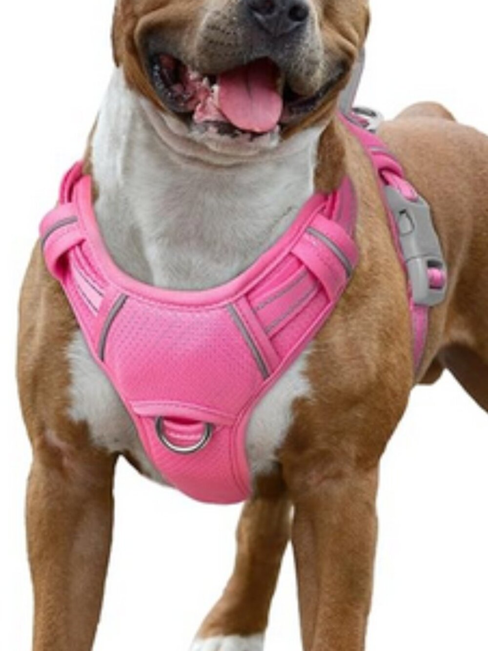 Barkbay | No Pull Dog Harness Large Reflective w/ Front Clip ID Pocket Sz L NiP